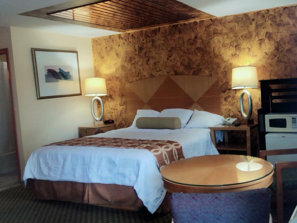 Sunflower Inn Galloway Zewnętrze zdjęcie